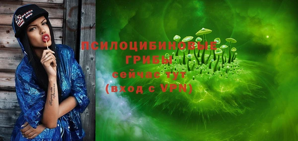 винт Михайловка