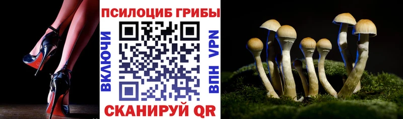 OMG   Закаменск  Галлюциногенные грибы Psilocybe  где продают наркотики 