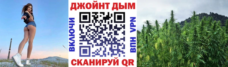 Конопля MAZAR Закаменск